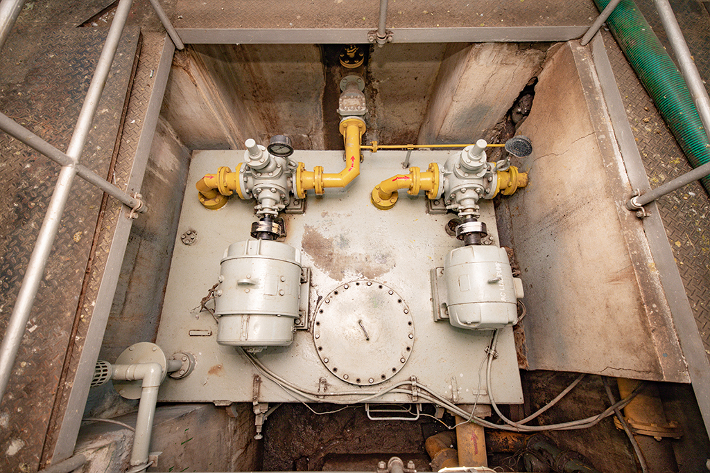 Chiplima Generator 02